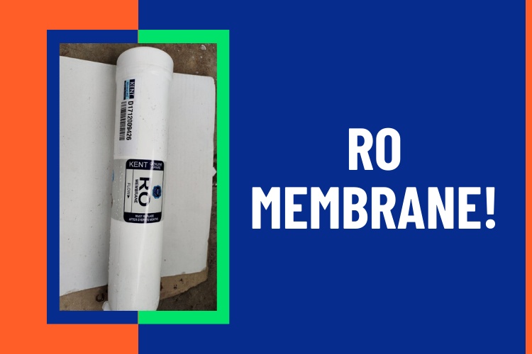 RO Membrane-waterbug