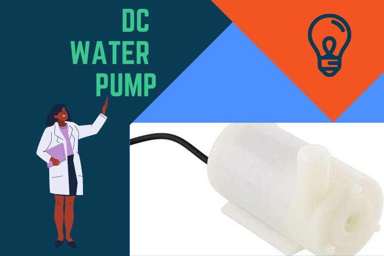DC water pump-waterbug