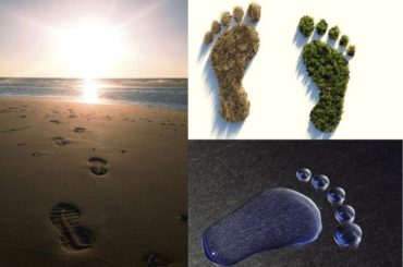 water-footprint-waterbug