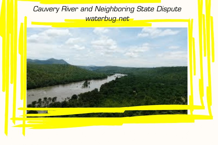 Cauvery River and Neighboring State Dispute-waterbug