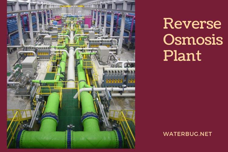 Reverse Osmosis Plant-Waterbug