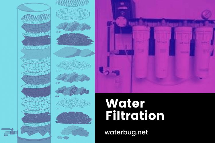 Water Filtration-waterbug