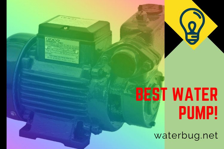best water pump-waterbug
