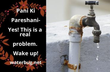 Pani Ki Pareshani- Yes! This is a real problem-waterbug