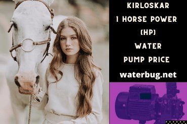 kirloskar-1hp-water-pump-price-waterbug