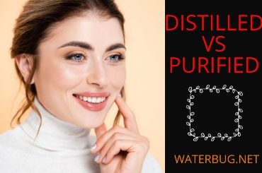 Distilled vs Purified -waterbug