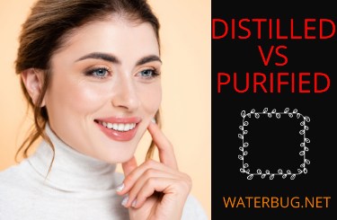 Distilled vs Purified -waterbug