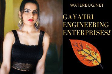 gayatri-engineering-enterprises-waterbug