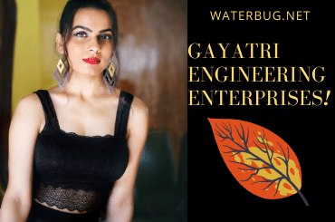 Gayatri Engineering Enterprises- Mayur Dave leading from the Front