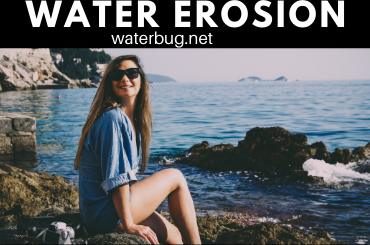water erosion-waterbug