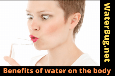 Benefits of water on the body
