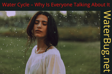 Water Cycle – Why Is Everyone Talking About It
