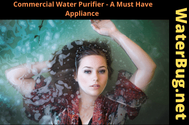 Commercial Water Purifier – A Must-Have Appliance In Institutions, Organizations, Food & Hospitality Industries